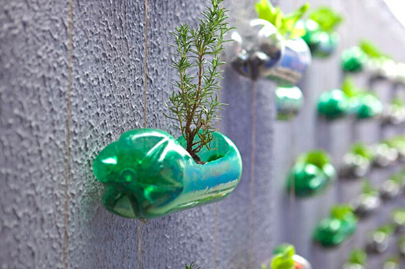 绿色环保创意塑料瓶植物墙 