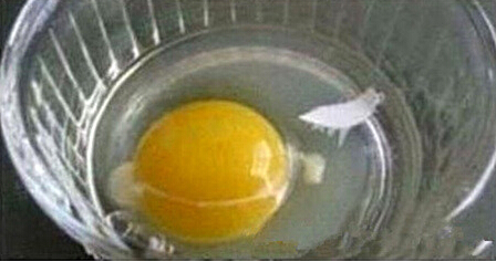 家有妙招怎么捞出鸡蛋清里掉入的蛋壳