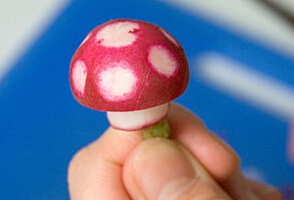 红胡萝卜变身小蘑菇