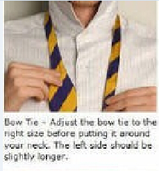 如何用领带打领结